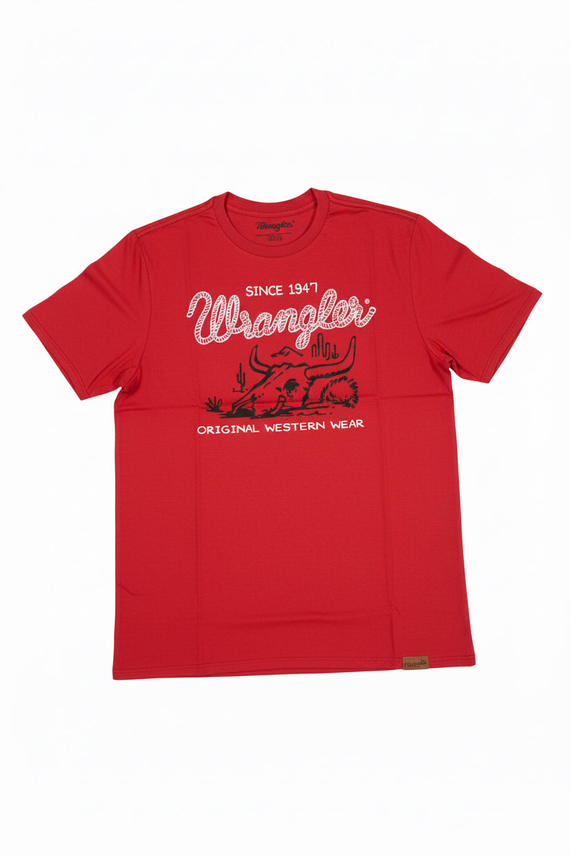 112367289| PLAYERA CABALLERO