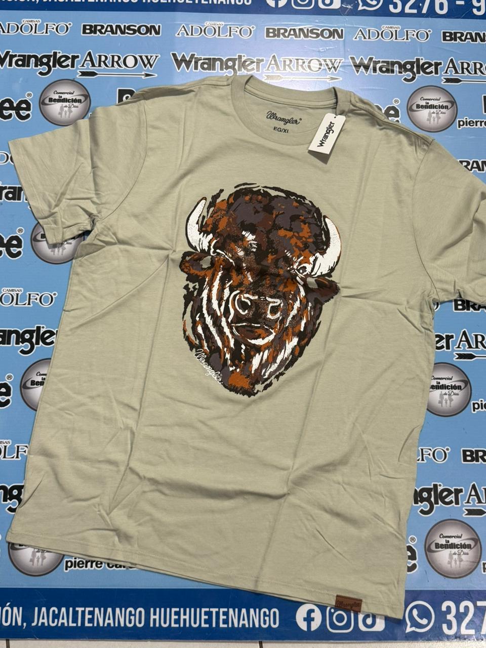 112365331| PLAYERA CABALLERO