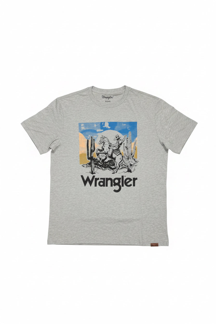 112365334| PLAYERA CABALLERO