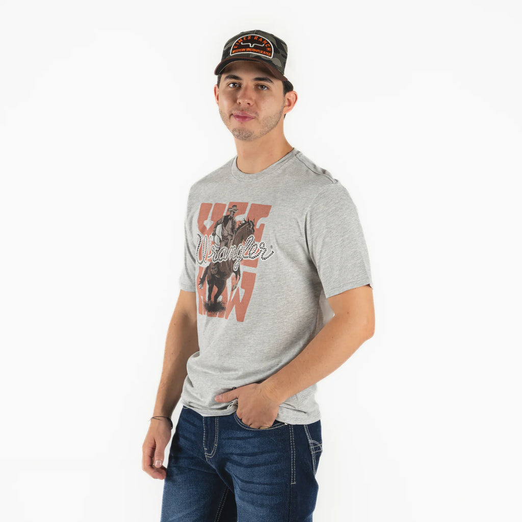 112373625| PLAYERA CABALLERO