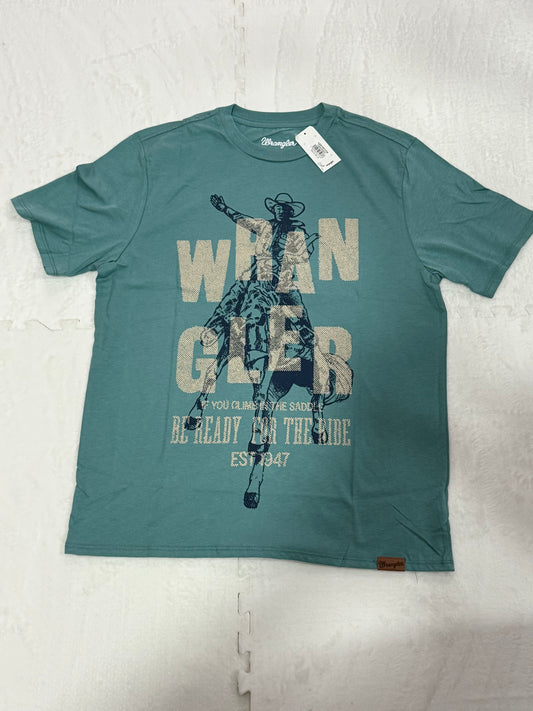 112395267| PLAYERA CABALLERO