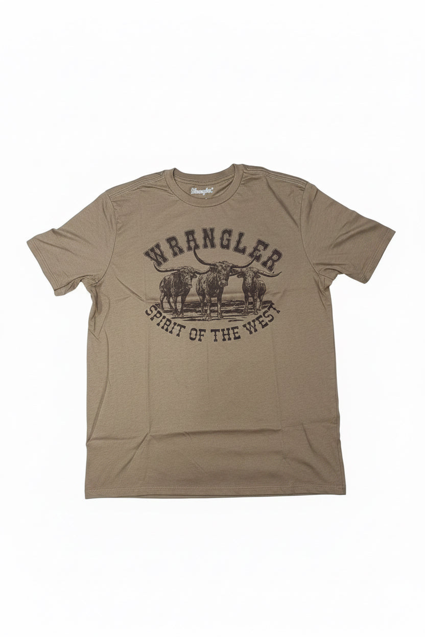 112381772| PLAYERA CABALLERO