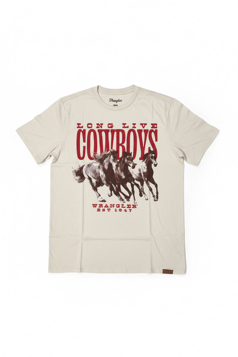 112381723| PLAYERA CABALLERO