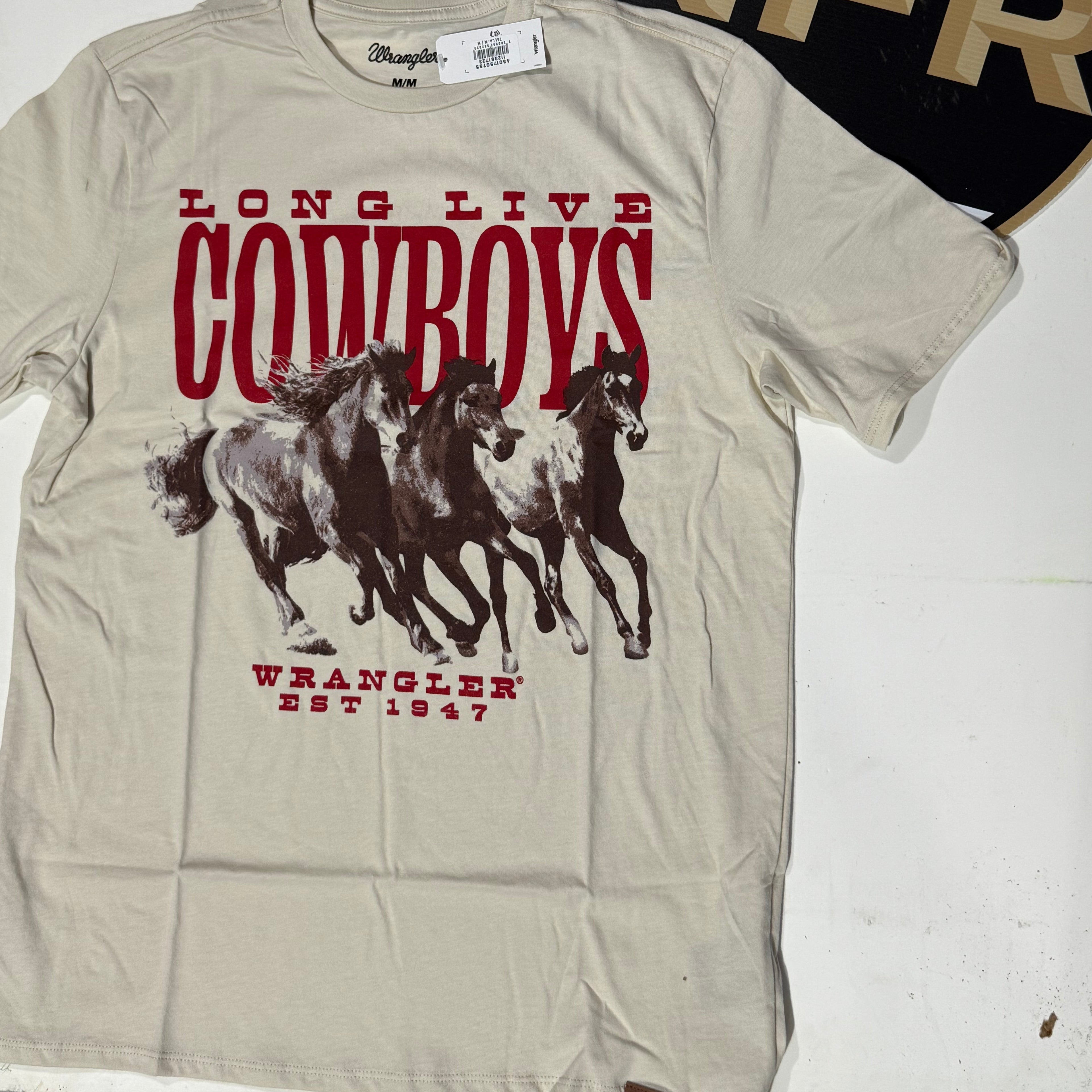 112381723| PLAYERA CABALLERO