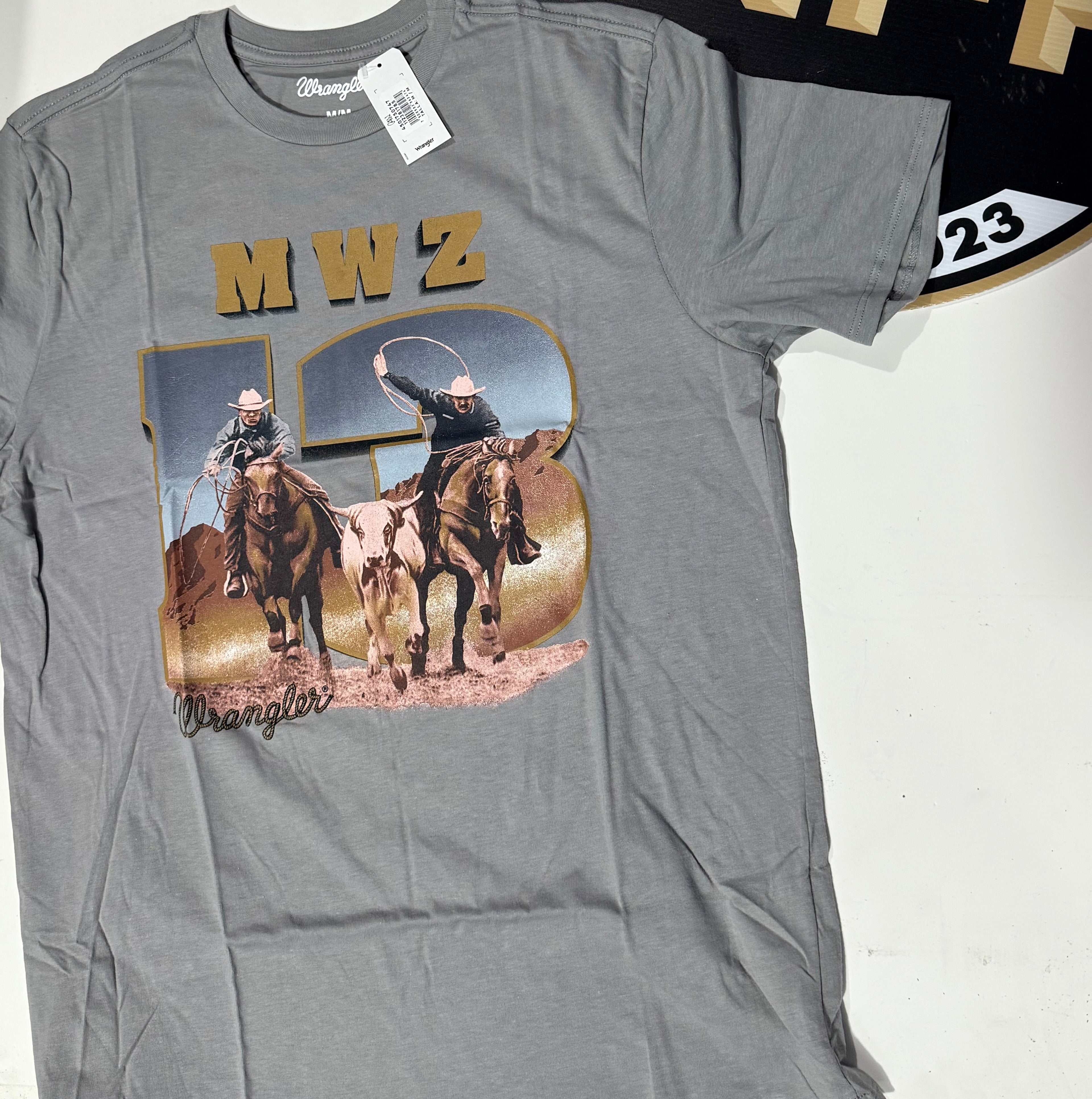 112381785| PLAYERA CABALLERO