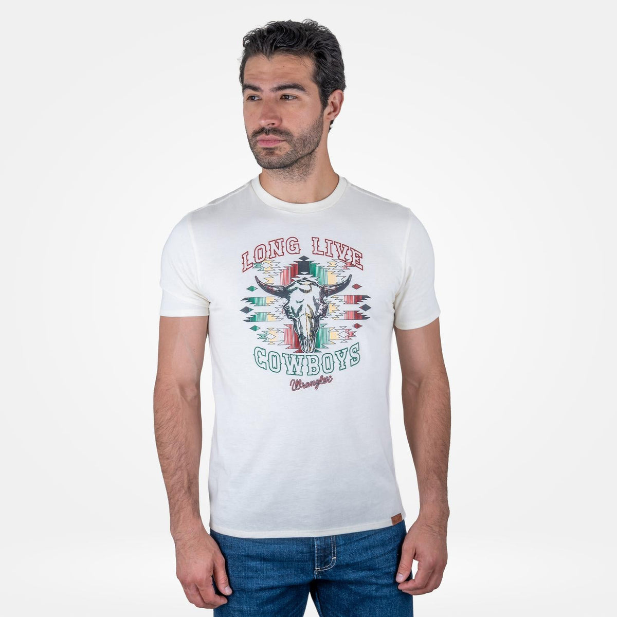 112395246| PLAYERA CABALLERO